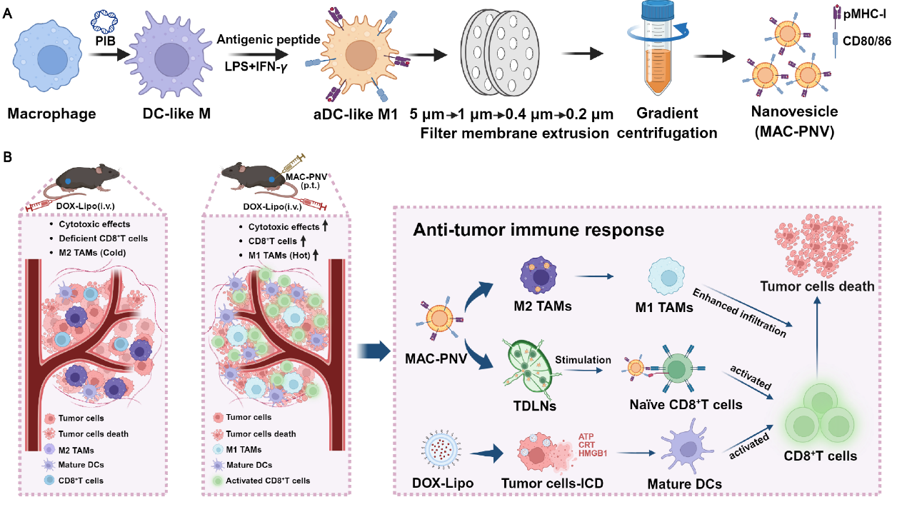 87752edfafe7489aa6a1286656298303.png 87752edfafe7489aa6a1286656298303.png